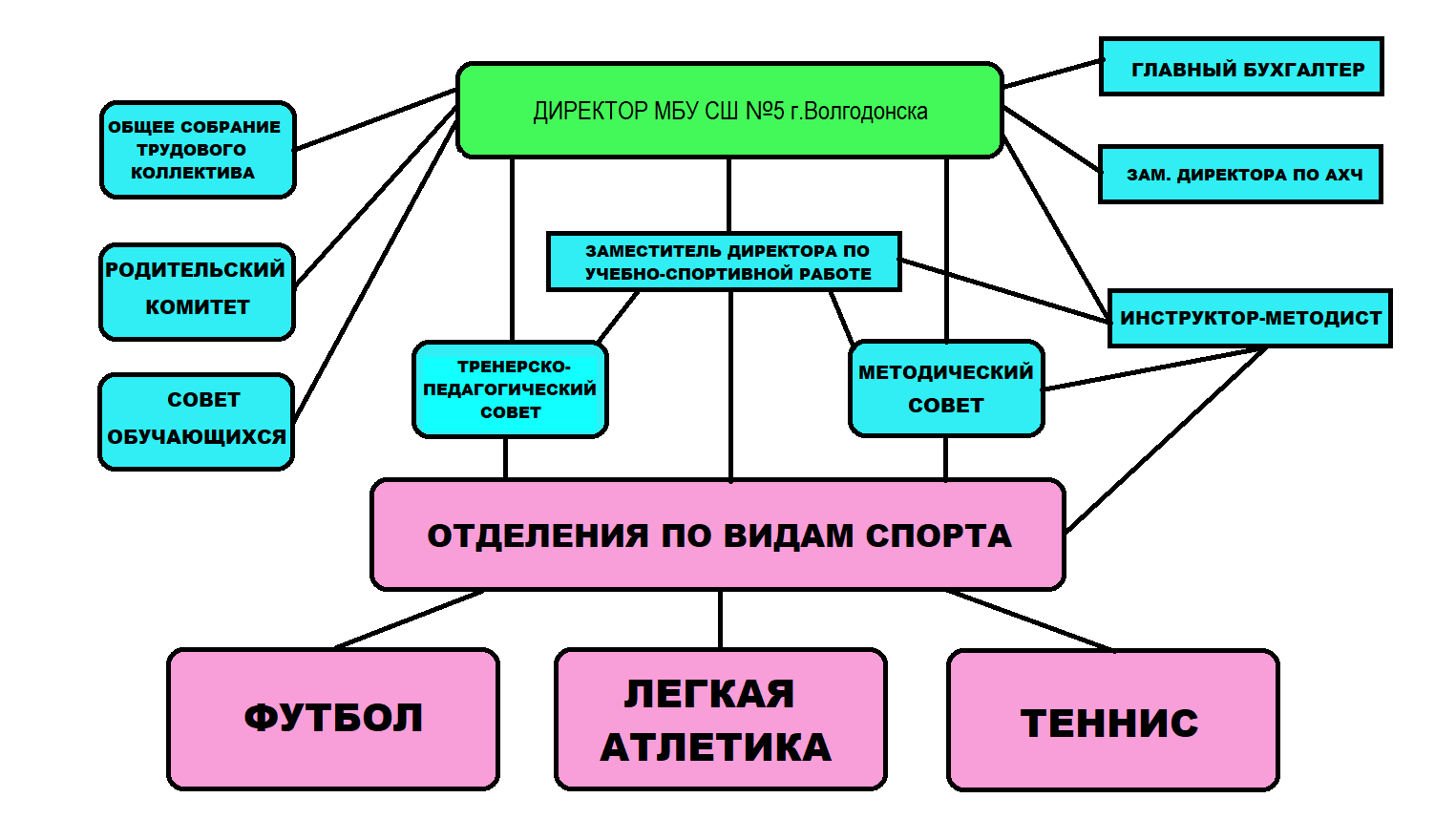 Структура и органы управления образовательной организацией | Официальный  сайт МБУ ДО 